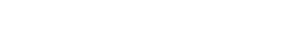 Network Karriere