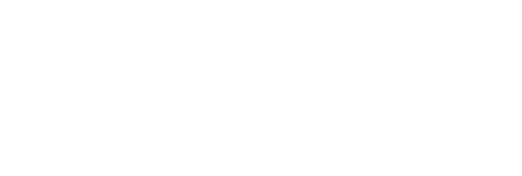 ORF 1